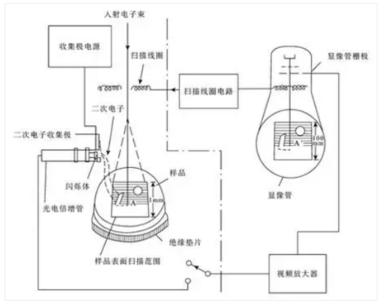 Weixin Screenshot_20240329104741.png